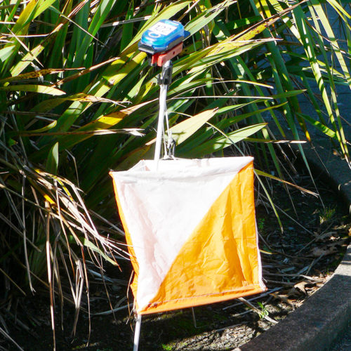 orienteering flag